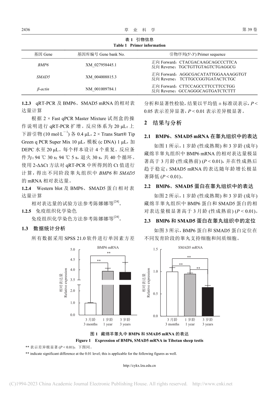 BMP6和SMAD5在藏绵羊睾丸组织中的表达和定位_陈娜娜.pdf_第3页