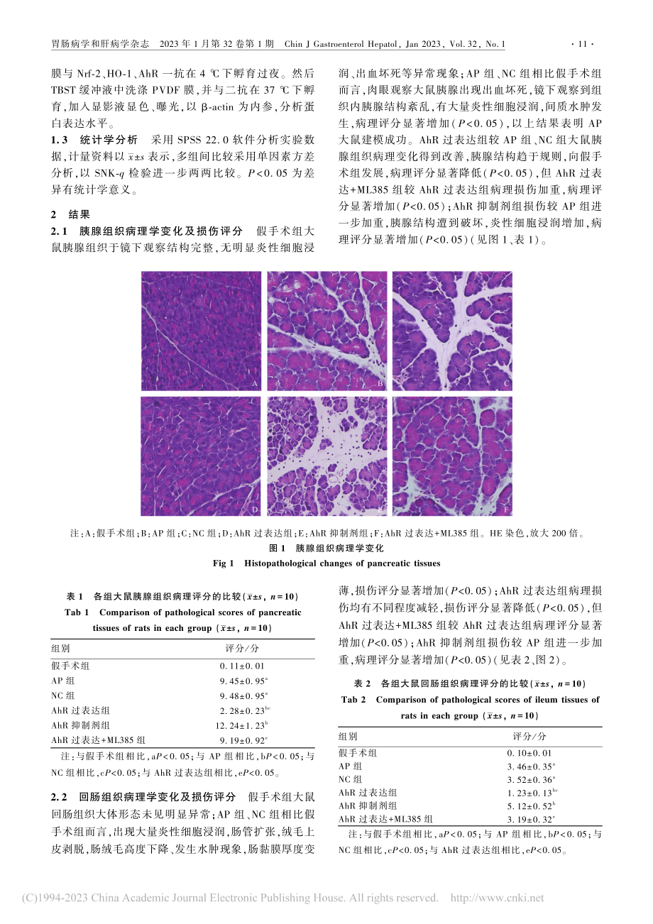 AhR对急性胰腺炎大鼠肠道微环境及屏障功能的影响_李娟.pdf_第3页