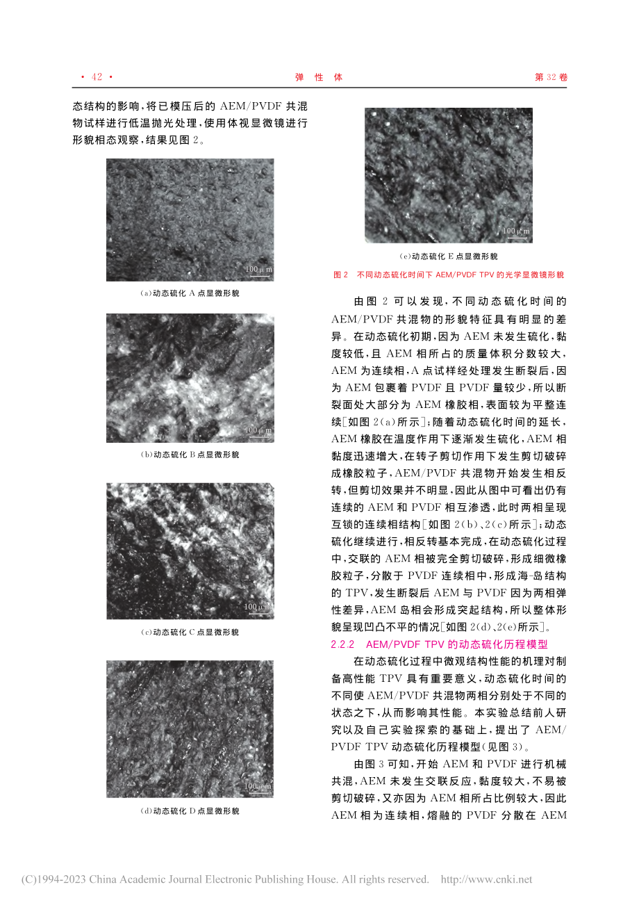 AEM_PVDF_TPV动态硫化历程及性能_孙臻豪.pdf_第3页