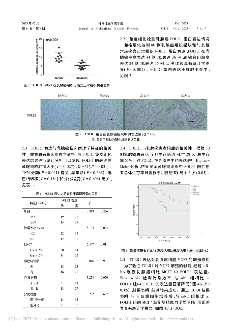 FOLR1表达对乳腺癌患者...及相关生物学行为的影响研究_朱超.pdf_第3页