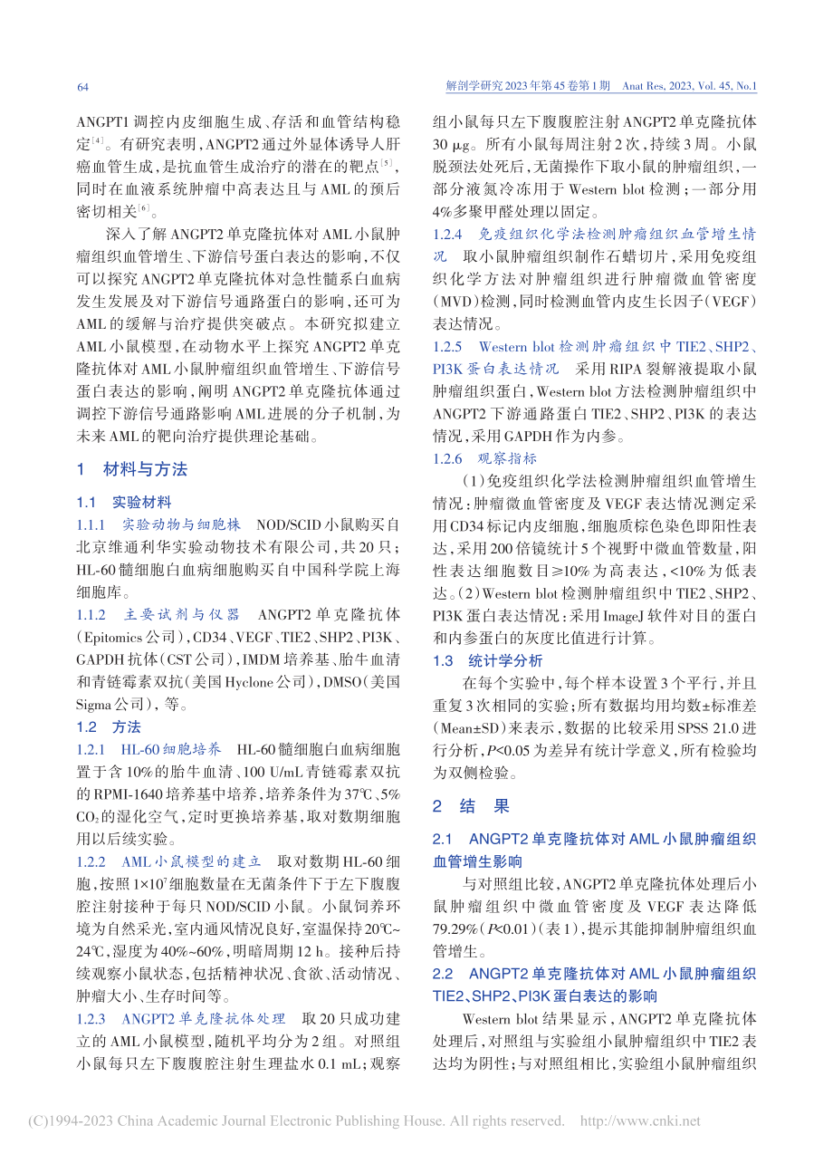 ANGPT2单克隆抗体对A...生和下游信号蛋白表达的影响_苗玉迪.pdf_第2页