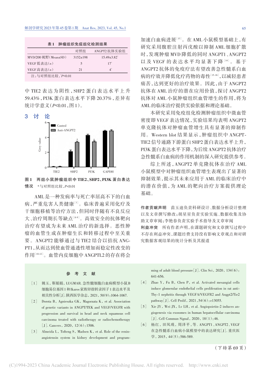 ANGPT2单克隆抗体对A...生和下游信号蛋白表达的影响_苗玉迪.pdf_第3页