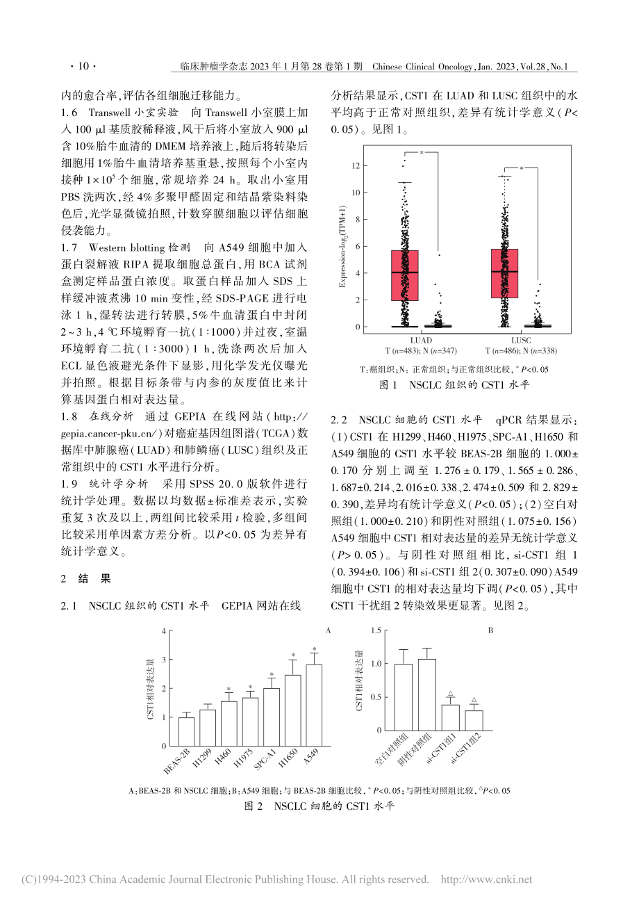 CST1调节Notch信号...细胞增殖、迁移和侵袭的影响_刘瑜.pdf_第3页