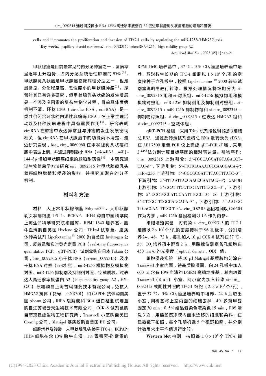 circ＿0092315通...腺乳头状癌细胞的增殖和侵袭_柯淑红.pdf_第2页