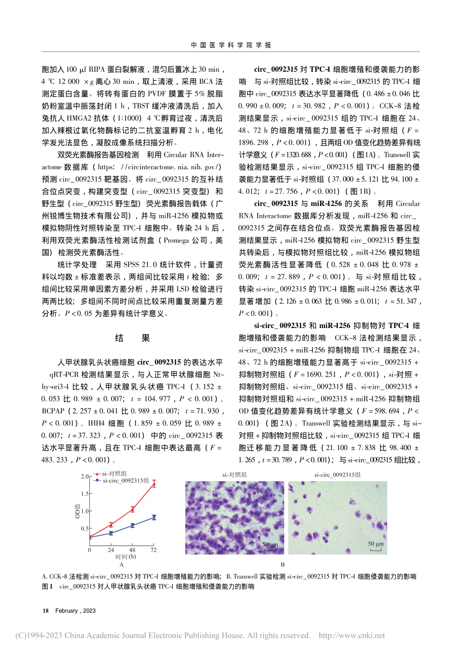 circ＿0092315通...腺乳头状癌细胞的增殖和侵袭_柯淑红.pdf_第3页