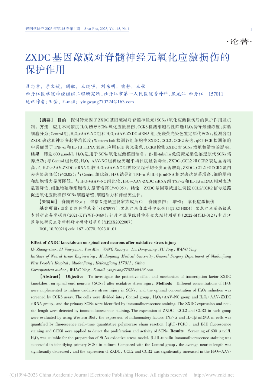 ZXDC基因敲减对脊髓神经元氧化应激损伤的保护作用_吕忠孝.pdf_第1页