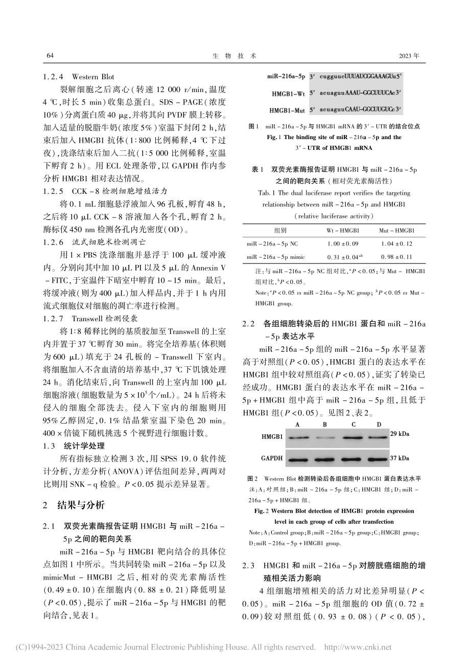 miR-216a-5p调控...J细胞生物学行为的机制探讨_於潇潇.pdf_第3页