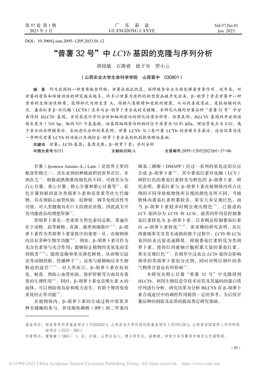 “普薯32号”中LCYb基因的克隆与序列分析_唐锐敏.pdf_第1页