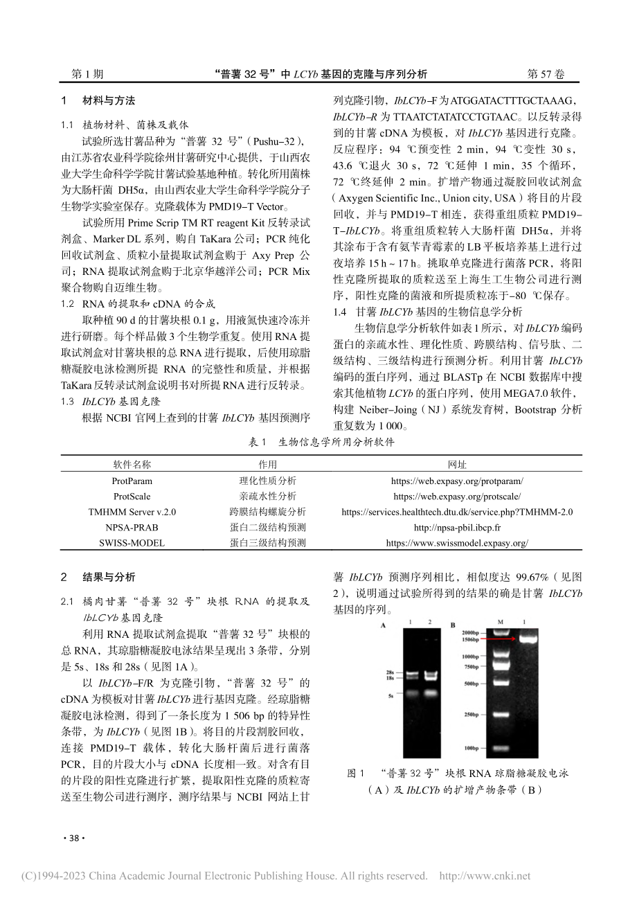 “普薯32号”中LCYb基因的克隆与序列分析_唐锐敏.pdf_第2页