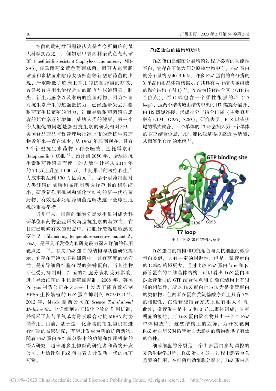 FtsZ抑制剂作为新型抗菌分子的研究进展_郭琦.pdf_第2页