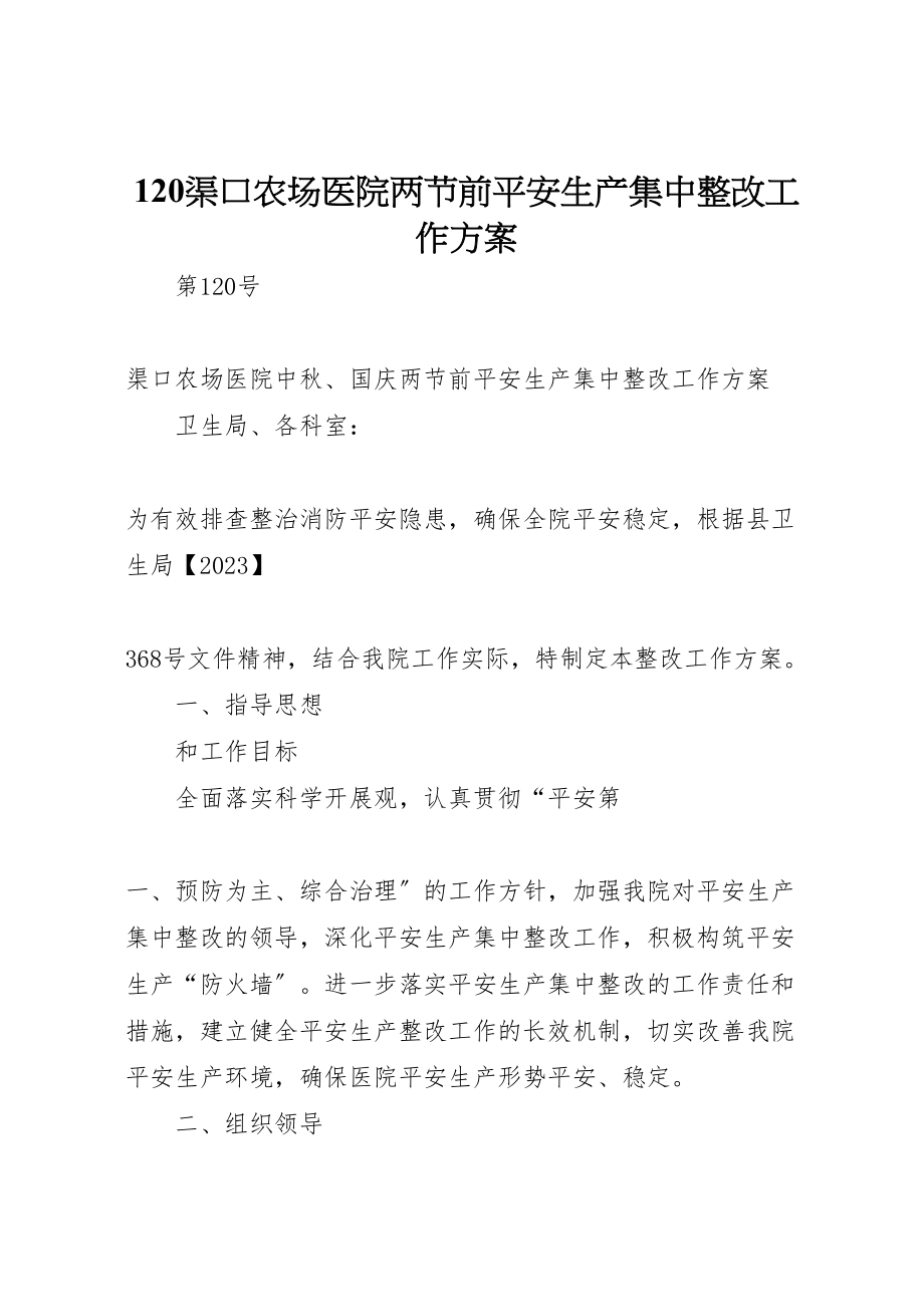 2023年渠口农场医院两节前安全生产集中整改工作方案.doc_第1页