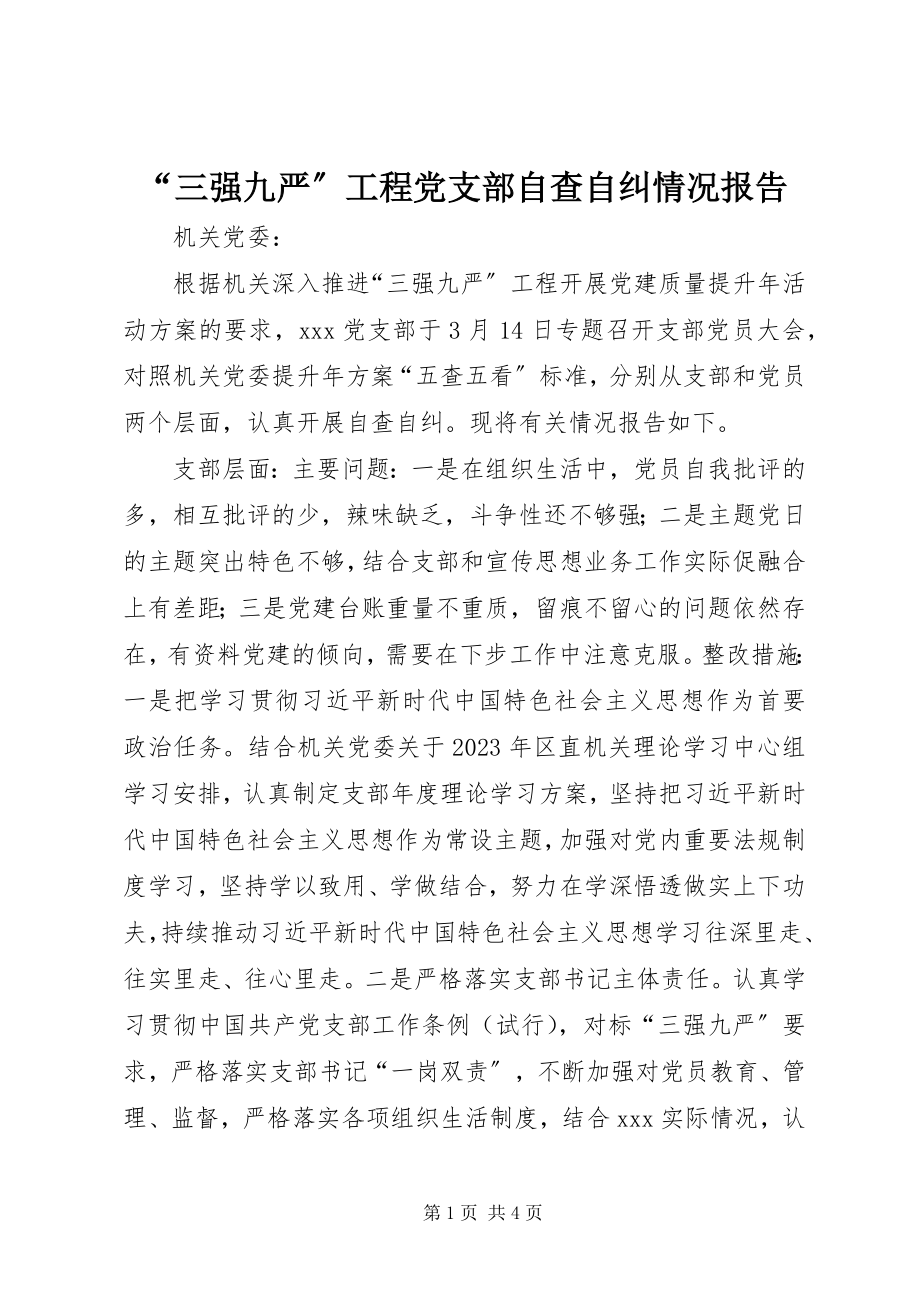 2023年“三强九严”工程党支部自查自纠情况报告新编.docx_第1页