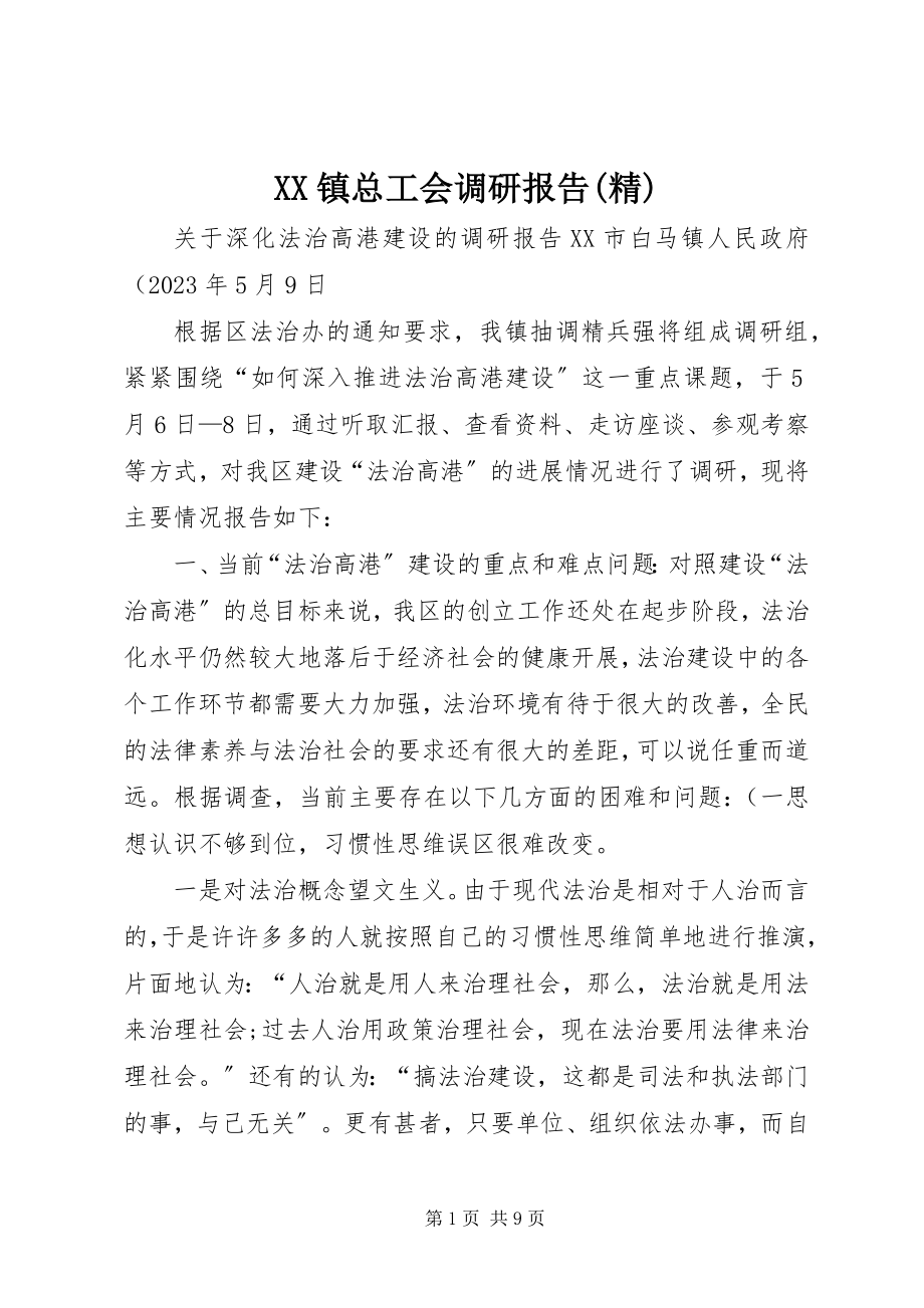 2023年XX镇总工会调研报告精新编.docx_第1页