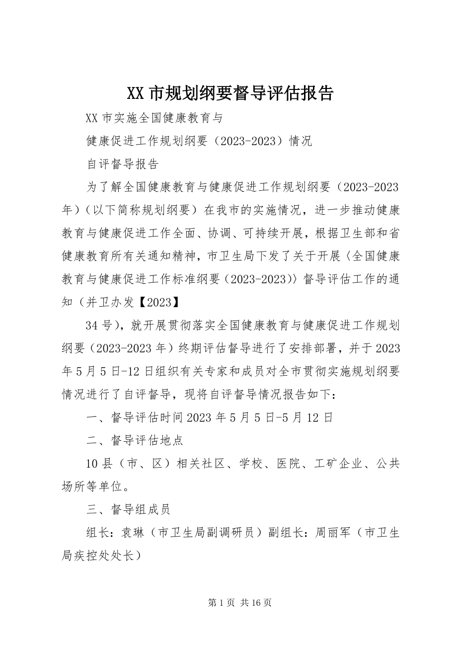 2023年XX市规划纲要督导评估报告.docx_第1页