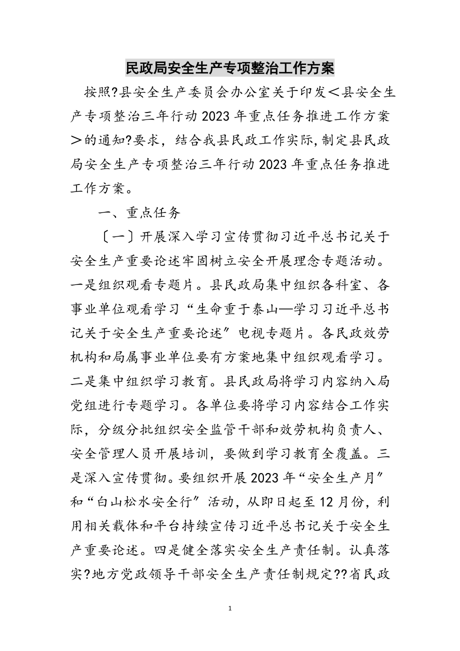 2023年民政局安全生产专项整治工作方案范文.doc_第1页