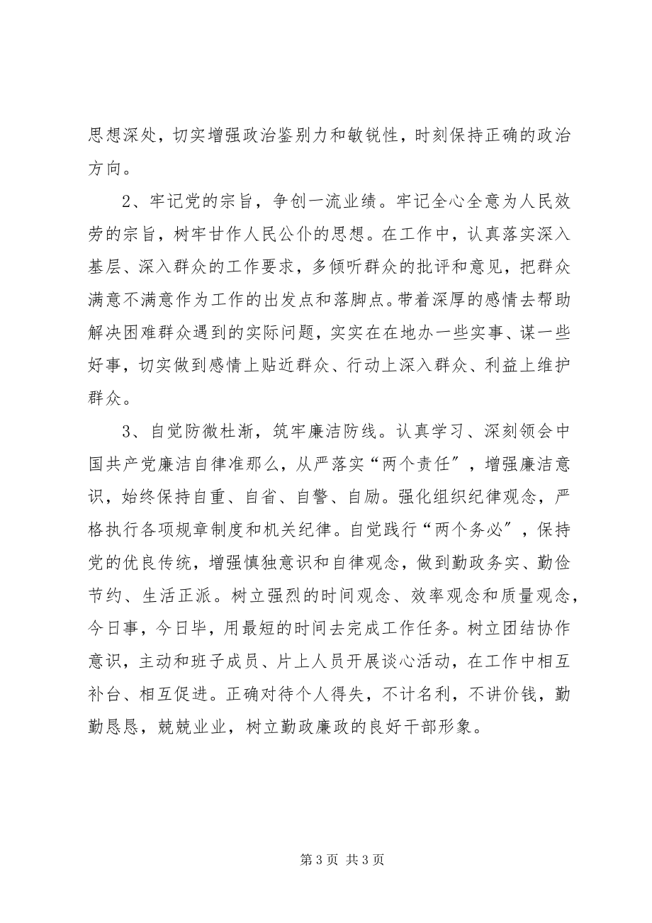 2023年“讲政治知敬畏守规矩”自查报告新编.docx_第3页