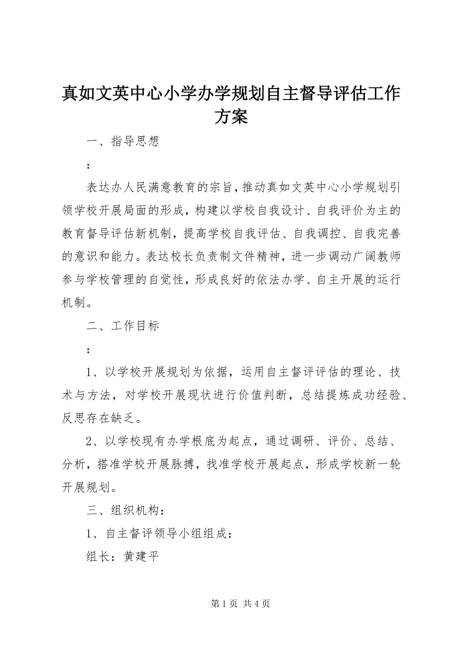 2023年真如文英中心小学办学规划自主督导评估工作方案.docx_第1页