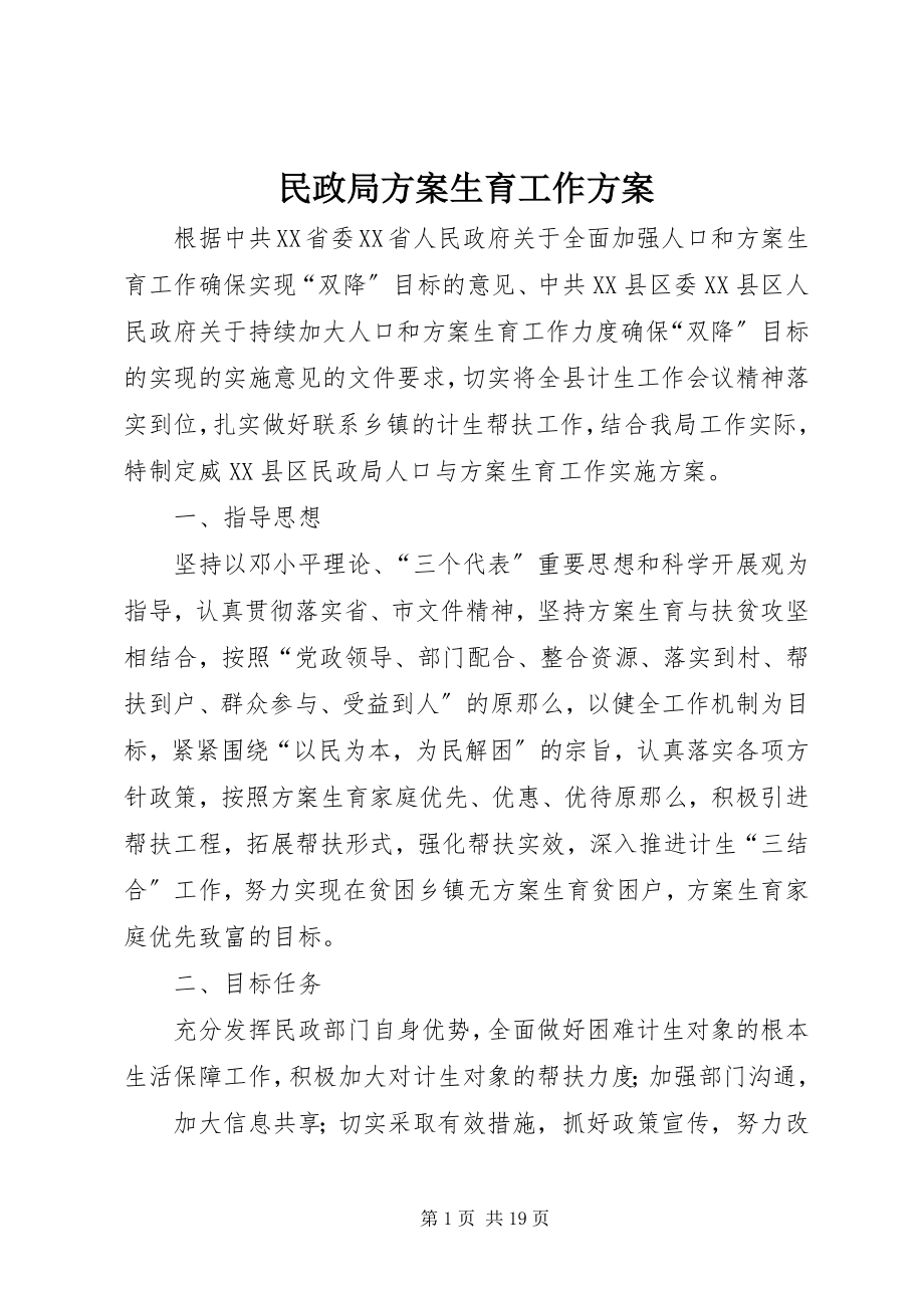 2023年民政局计划生育工作方案.docx_第1页