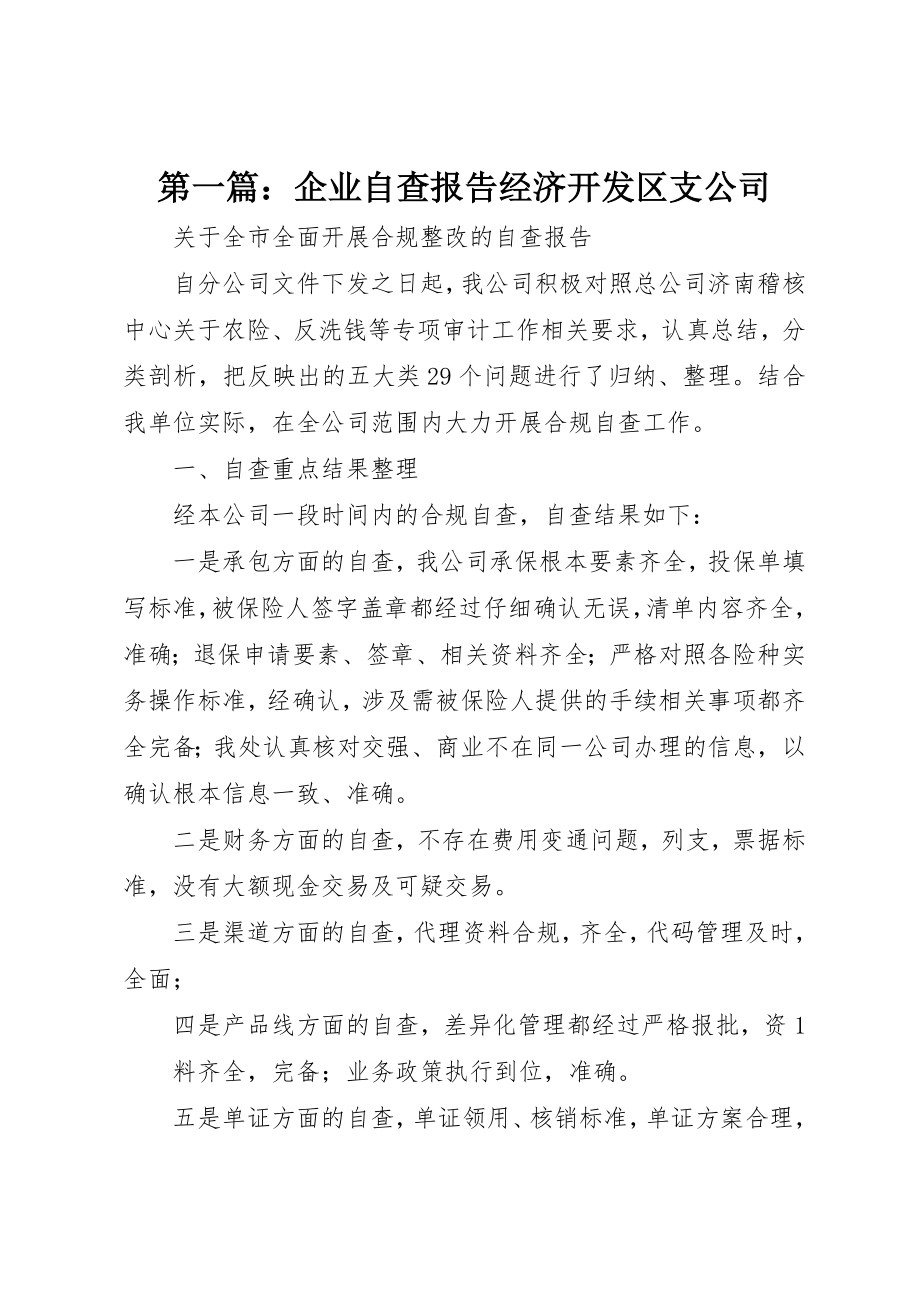 2023年xx企业自查报告经济开发区支公司新编.docx_第1页