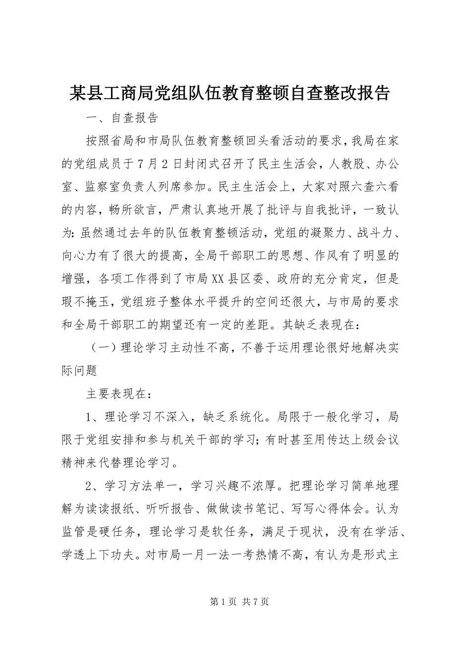 2023年xx县工商局党组队伍教育整顿自查整改报告.docx_第1页