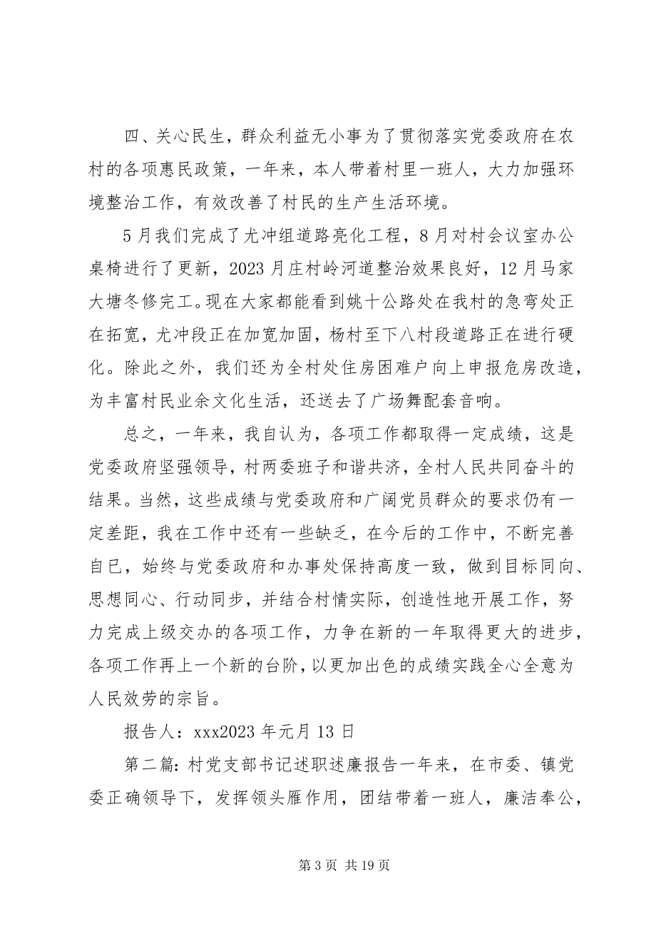 2023年XX村党支部书记述职述廉报告新编.docx_第3页