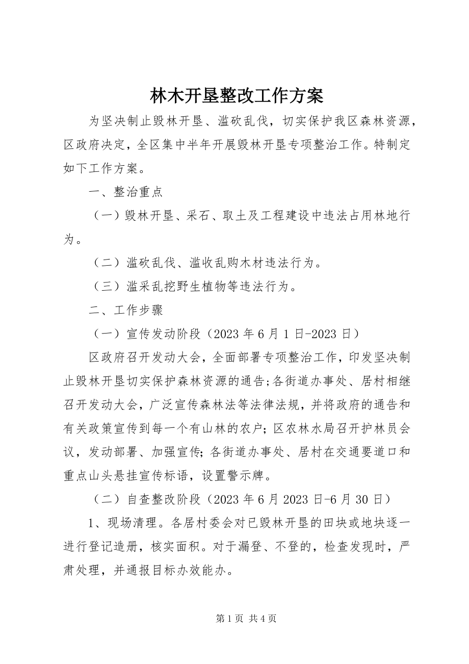 2023年林木开垦整改工作方案.docx_第1页