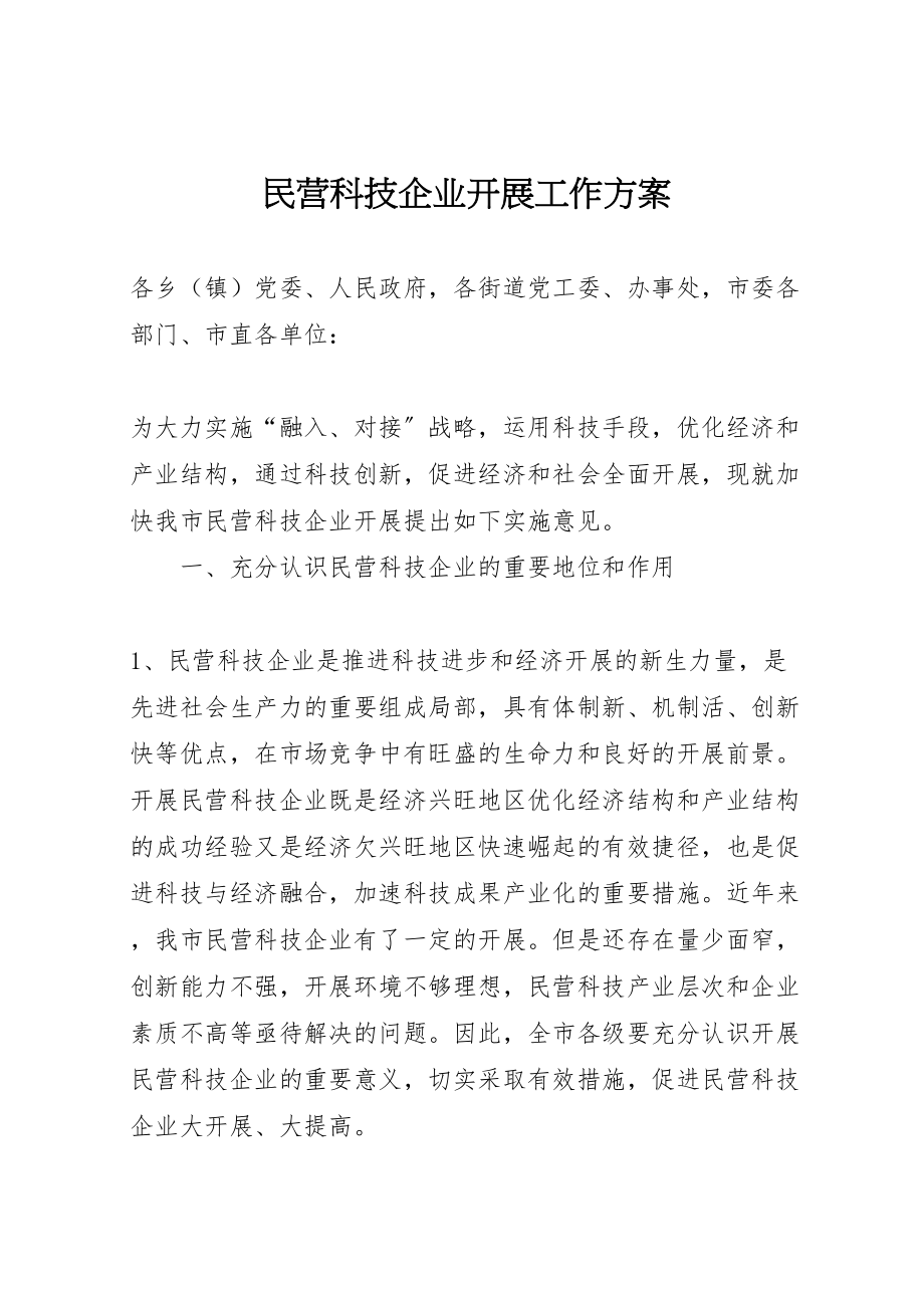 2023年民营科技企业发展工作方案.doc_第1页