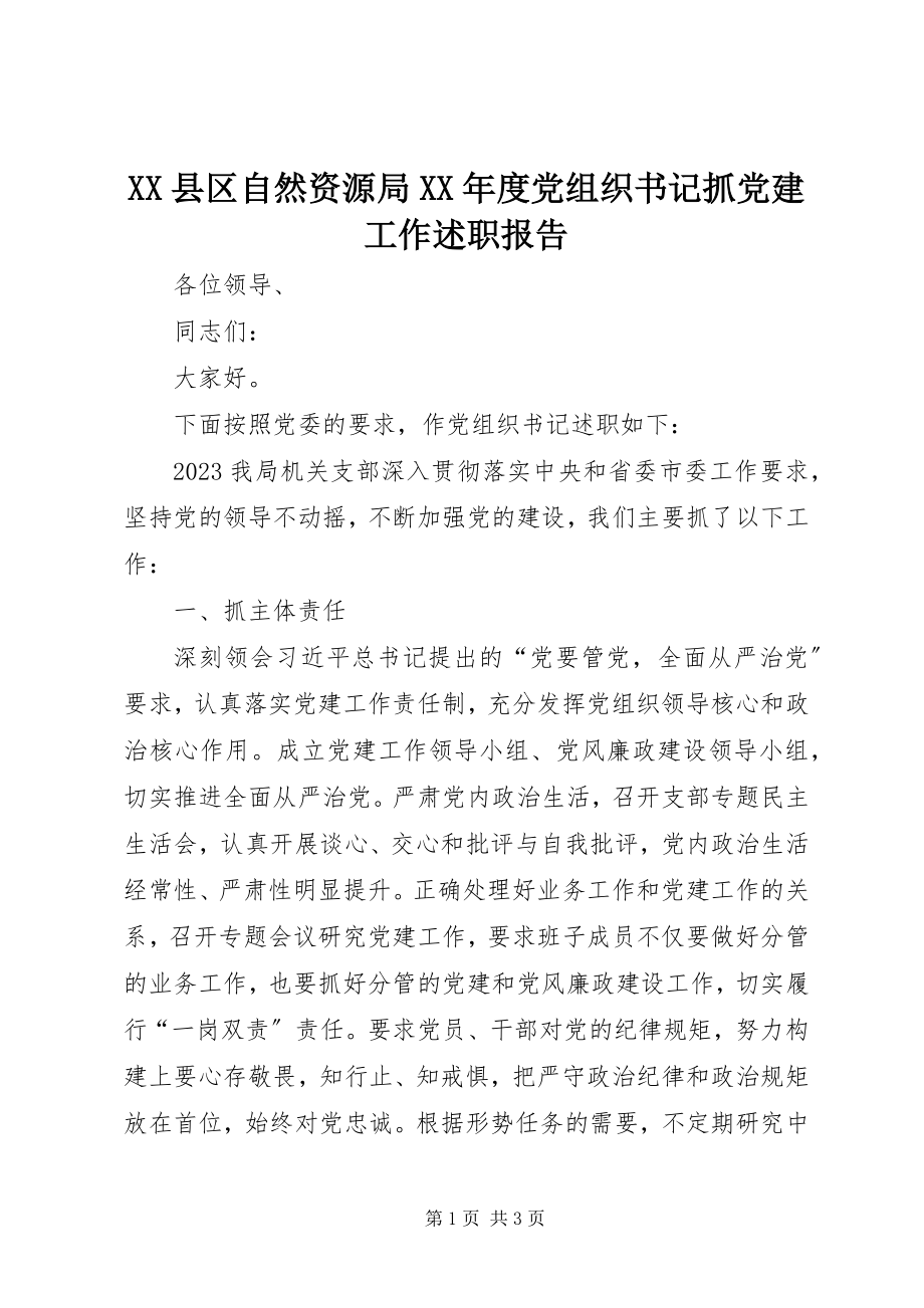 2023年XX县区自然资源局度党组织书记抓党建工作述职报告新编.docx_第1页