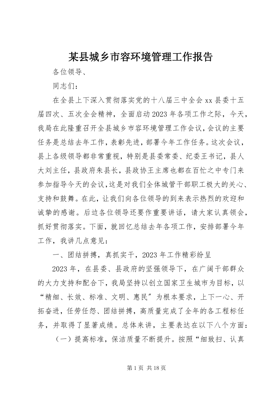 2023年xx县城乡市容环境管理工作报告.docx_第1页