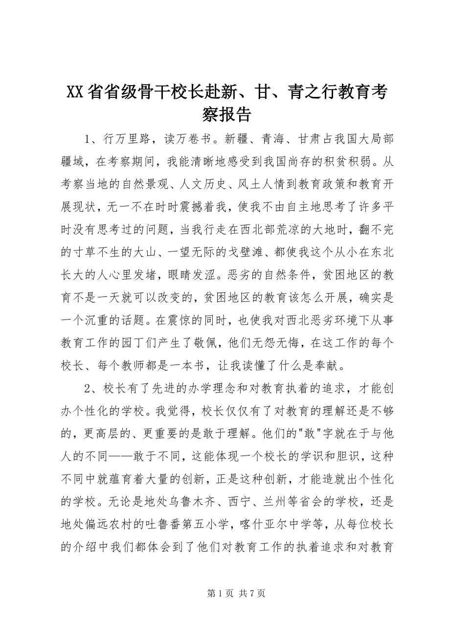 2023年XX省省级骨干校长赴新甘青之行教育考察报告.docx_第1页