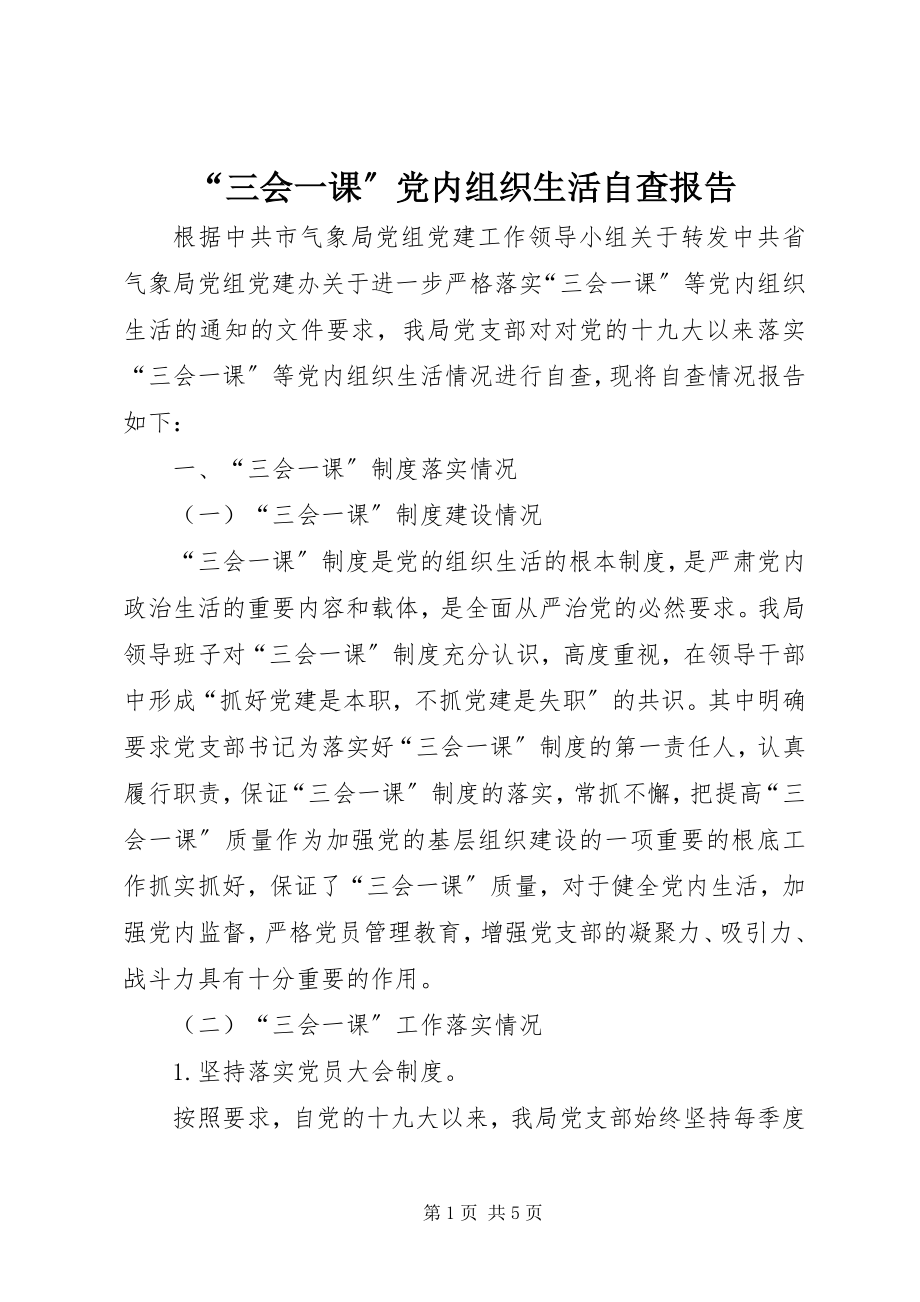 2023年“三会一课”党内组织生活自查报告新编.docx_第1页