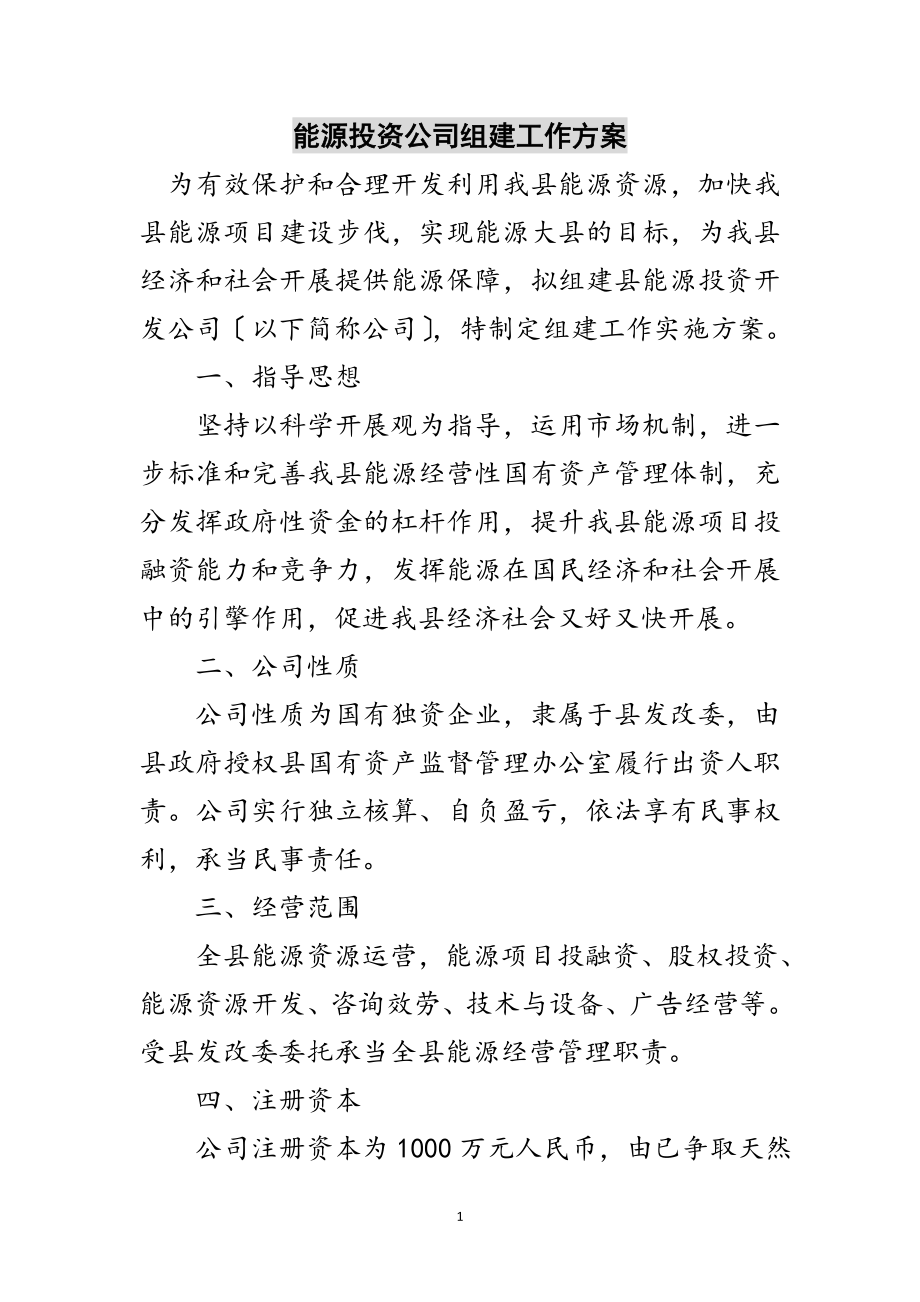 2023年能源投资公司组建工作方案范文.doc_第1页