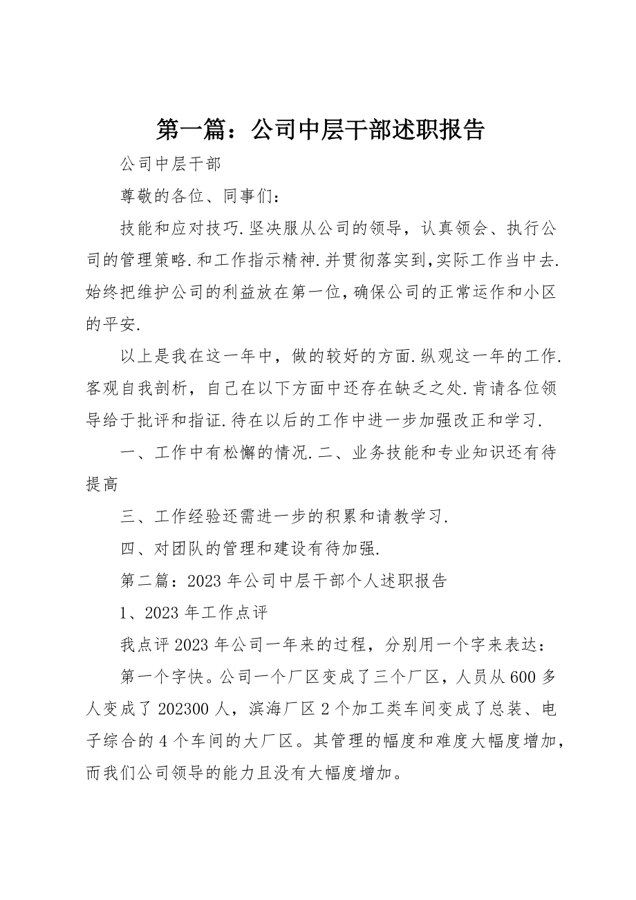 2023年xx公司中层干部述职报告新编.docx_第1页