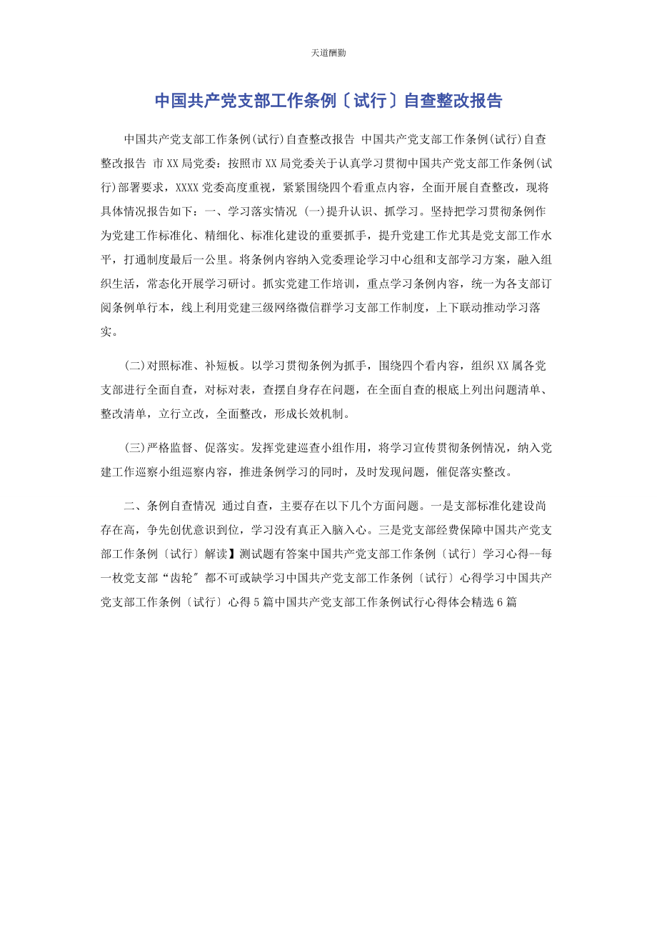 2023年《中国共产党支部工作条例试行》自查整改报告.docx_第1页