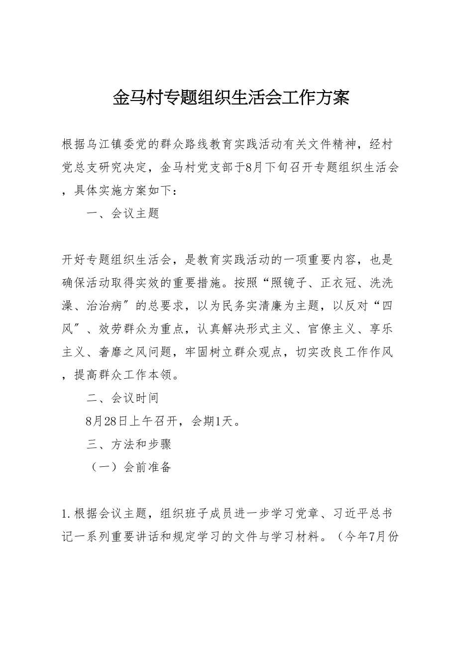 2023年金马村专题组织生活会工作方案.doc_第1页