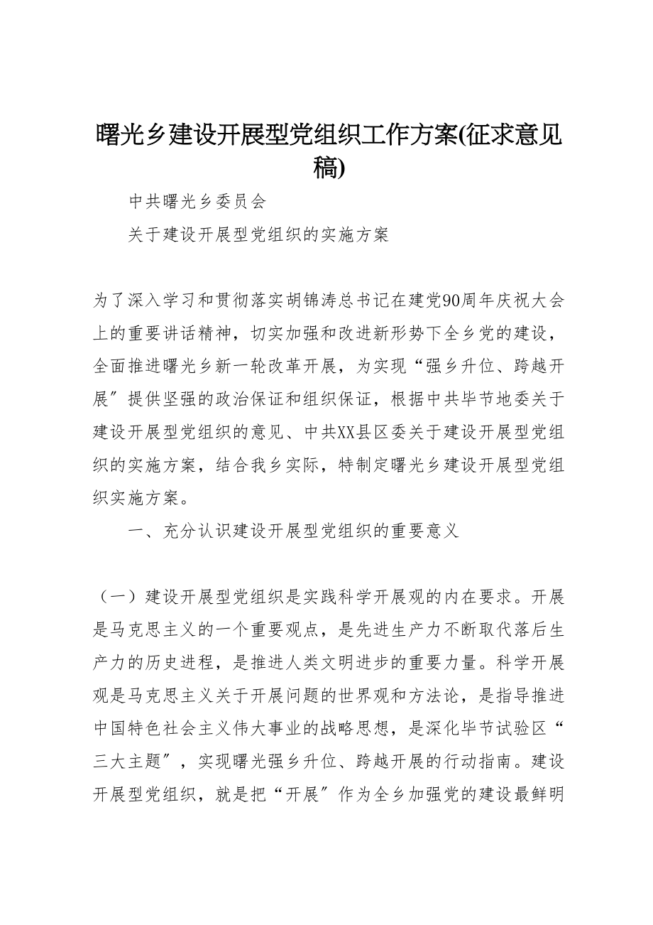 2023年曙光乡建设发展型党组织工作方案.doc_第1页