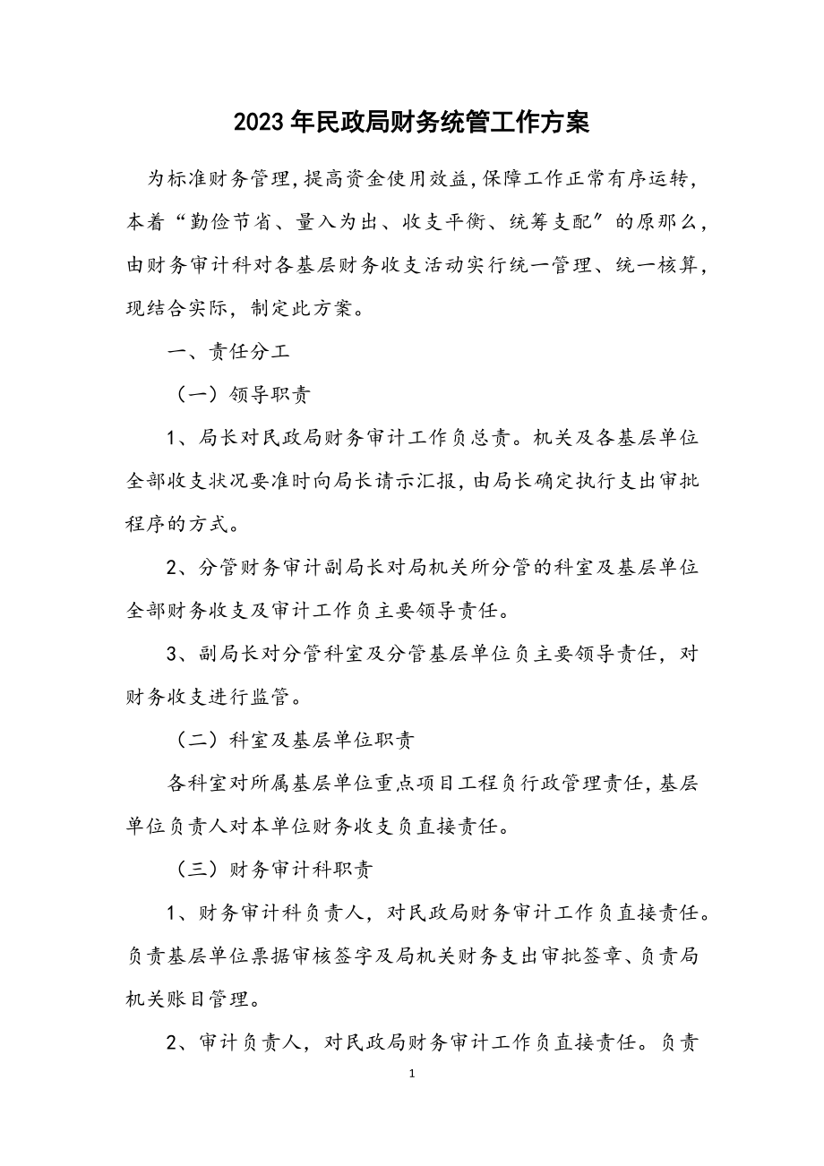 2023年民政局财务统管工作方案.docx_第1页