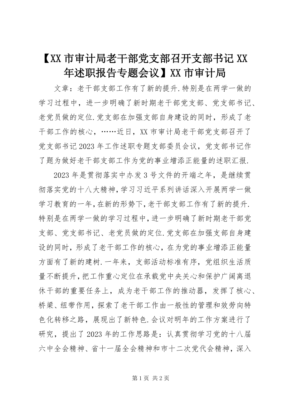 2023年XX市审计局老干部党支部召开支部书记述职报告专题会议XX市审计局新编.docx_第1页