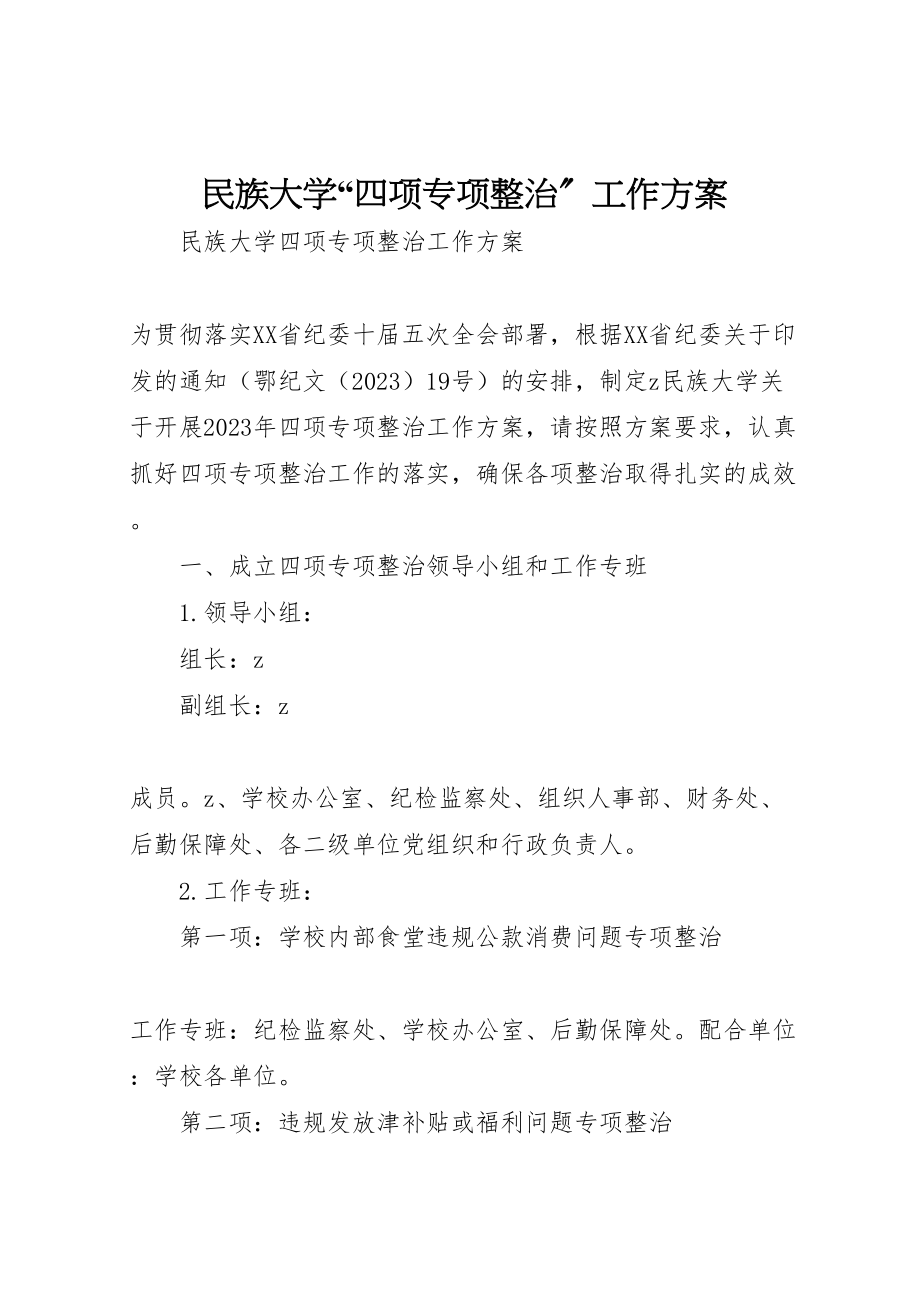 2023年民族大学四项专项整治工作方案.doc_第1页