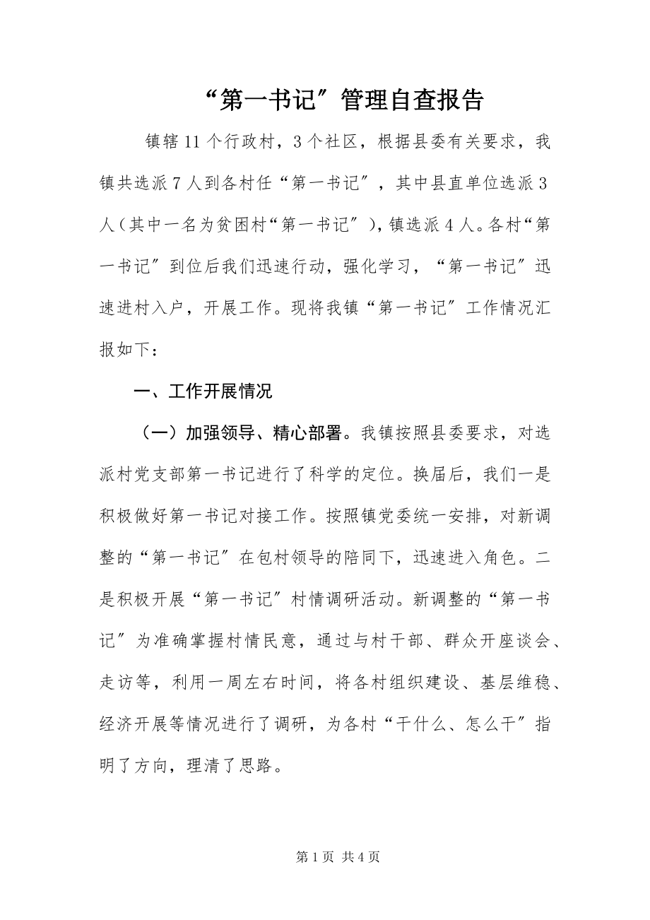 2023年“第一书记”管理自查报告新编.docx_第1页