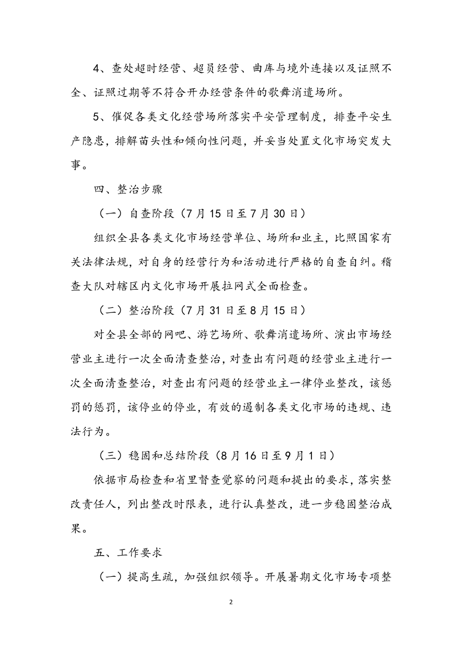 2023年文广局专项整治行动工作方案.docx_第2页