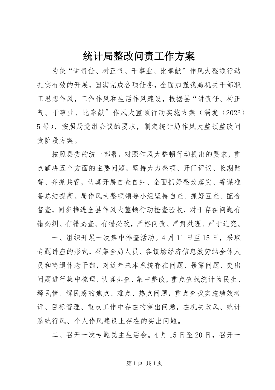 2023年统计局整改问责工作方案.docx_第1页