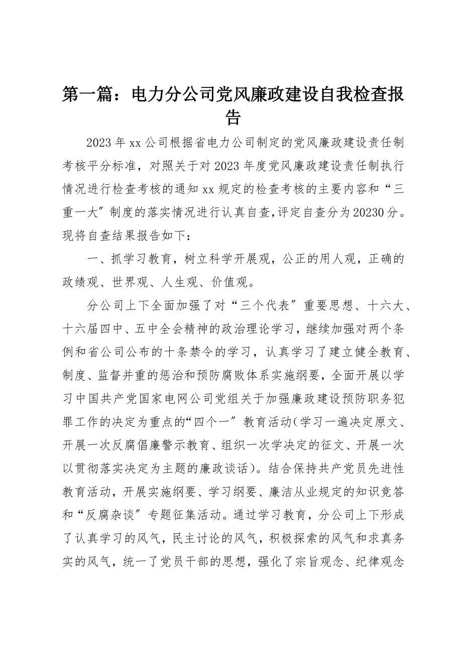 2023年xx电力分公司党风廉政建设自我检查报告新编.docx_第1页