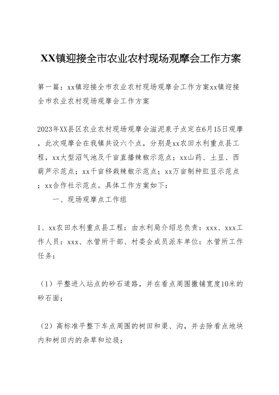 2023年镇迎接全市农业农村现场观摩会工作方案.doc_第1页