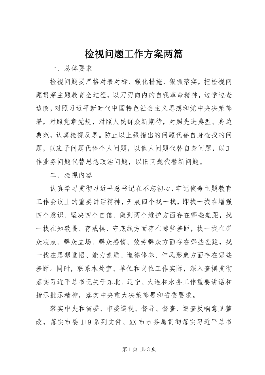 2023年检视问题工作方案两篇.docx_第1页