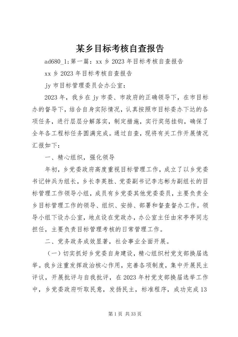 2023年xx乡目标考核自查报告.docx_第1页