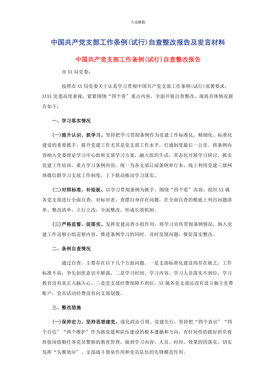 2023年《中国共产党支部工作条例试行》自查整改报告及发言材料.docx_第1页