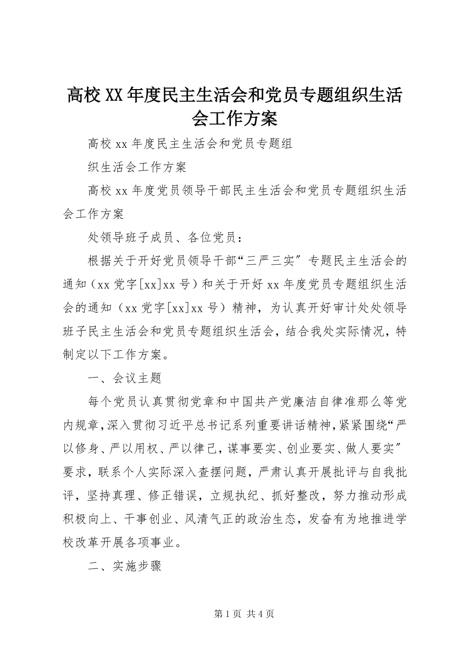 2023年高校某年度民主生活会和党员专题组织生活会工作方案.docx_第1页