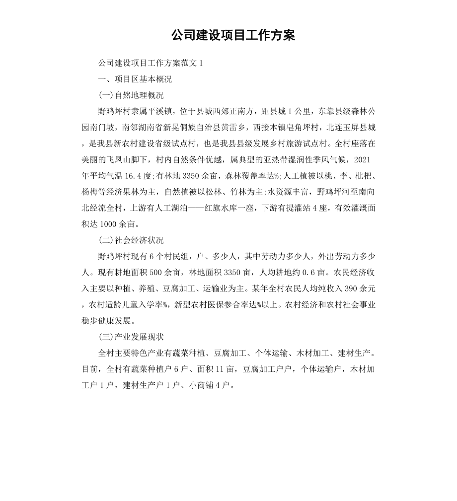 公司建设项目工作方案.docx_第1页