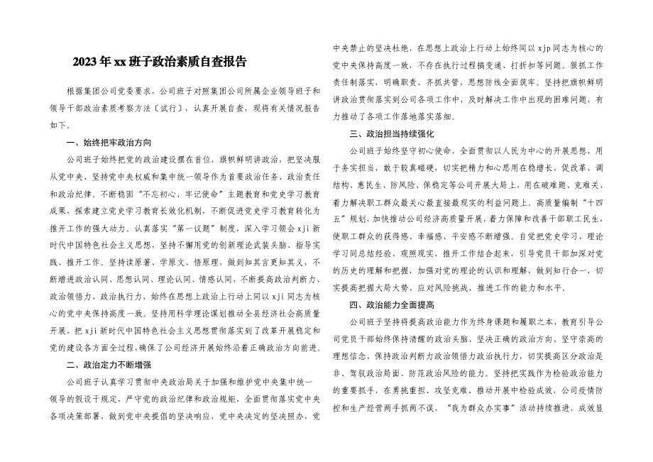 2023年xx班子政治素质自查报告.docx_第1页